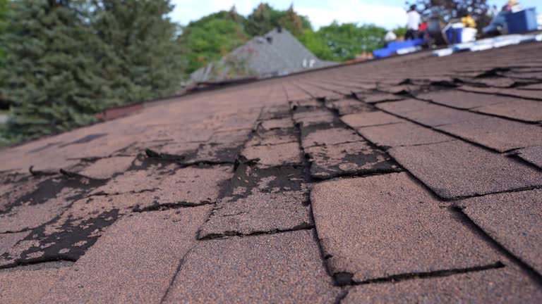 Best Gutter Installation and Repair  in Palm Springs, FL