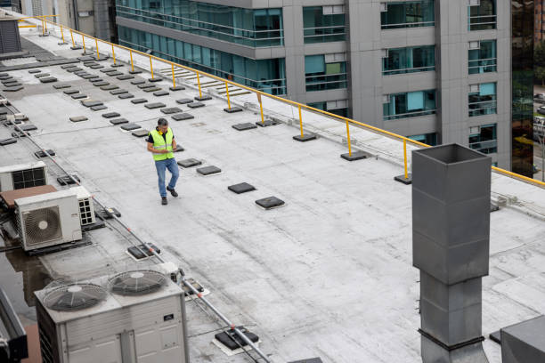Best Skylight Installation and Repair  in Palm Springs, FL