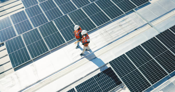 Best Asphalt Shingle Roofing  in Palm Springs, FL