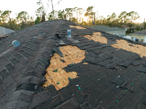 Best Roof Insulation Installation  in Palm Springs, FL