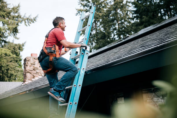 Best Sheet Metal Roofing  in Palm Springs, FL