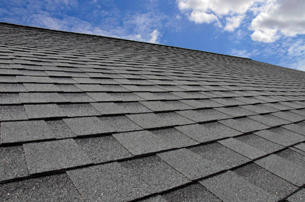 Best Wood Shake Roofing  in Palm Springs, FL
