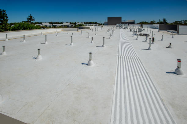 Best Gutter Installation and Repair  in Palm Springs, FL